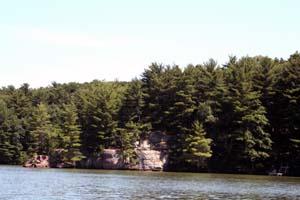 BIG Trees at Lake Redstone